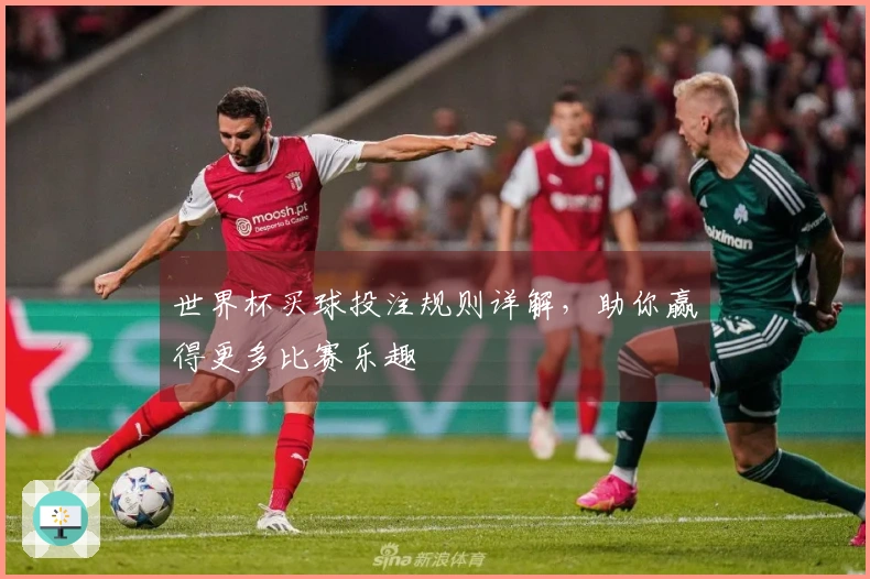世界杯买球投注规则详解，助你赢得更多比赛乐趣