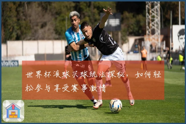 世界杯滚球买球玩法探秘，如何轻松参与享受赛事激情