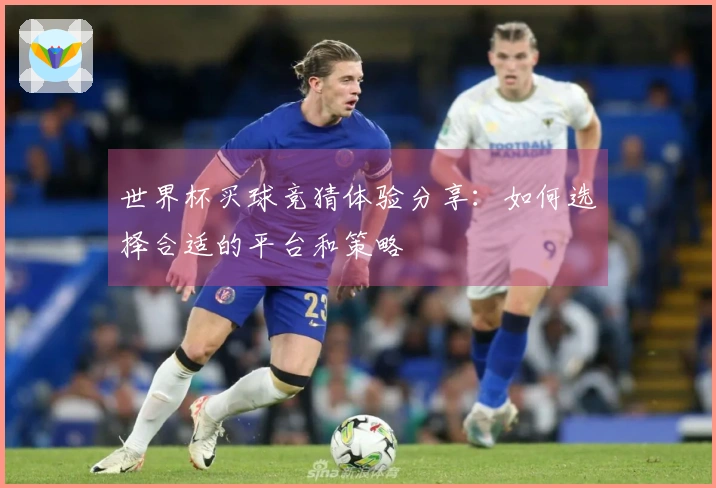 世界杯买球竞猜体验分享：如何选择合适的平台和策略