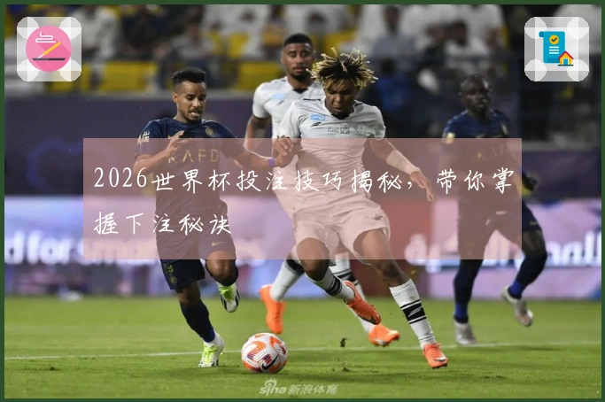 2026世界杯投注技巧揭秘，带你掌握下注秘诀