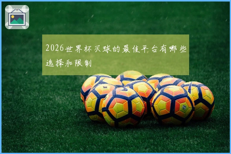 2026世界杯买球的最佳平台有哪些选择和限制