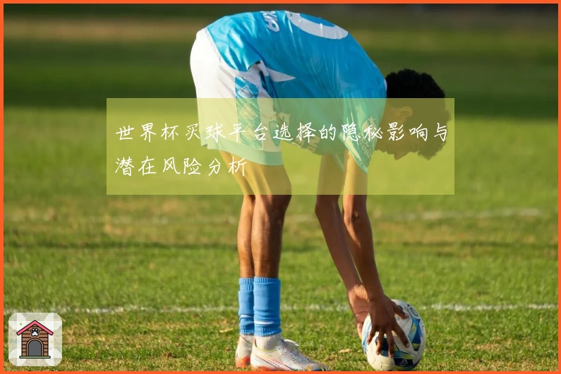 世界杯买球平台选择的隐秘影响与潜在风险分析