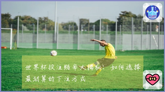 世界杯投注赔率大揭秘：如何选择最划算的下注方式