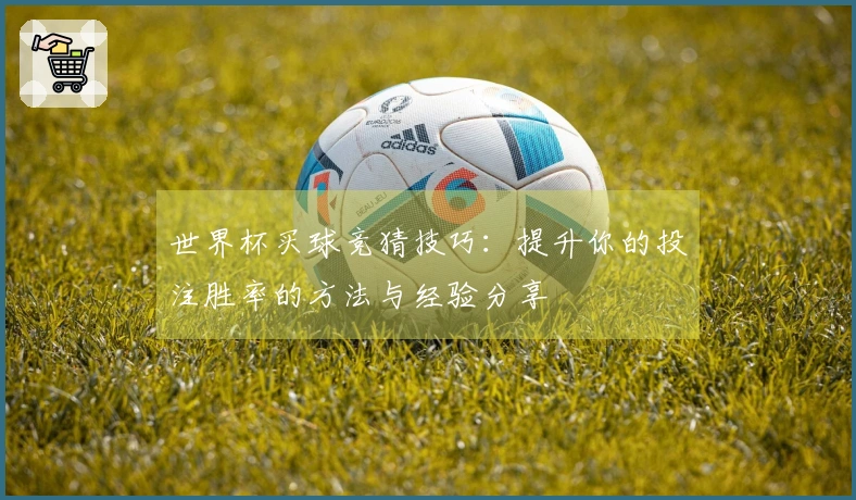 世界杯买球竞猜技巧：提升你的投注胜率的方法与经验分享