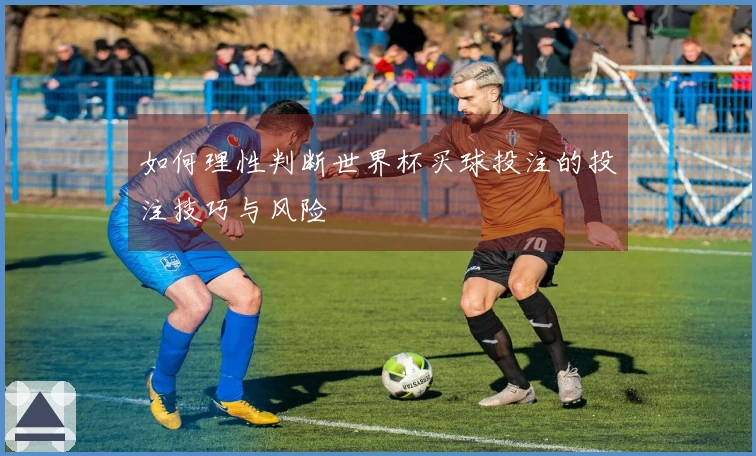 如何理性判断世界杯买球投注的投注技巧与风险